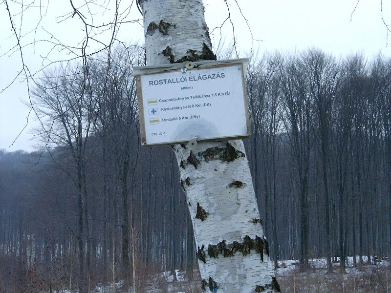 20110219 036.jpg